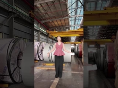 আপনি একটি বৈদ্যুতিক কয়েল উপর স্টেইনলেস স্টীল ব্যবহার করতে পারেন?